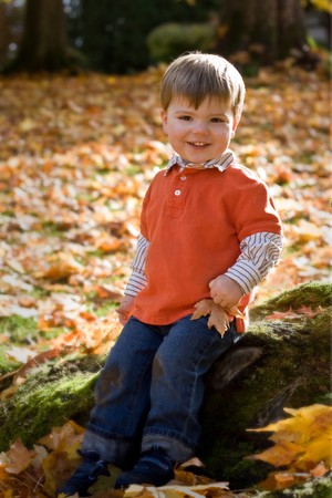 Young blond boy smiling in the Fall leavesの写真素材