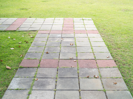 Block walk path in the parkの写真素材