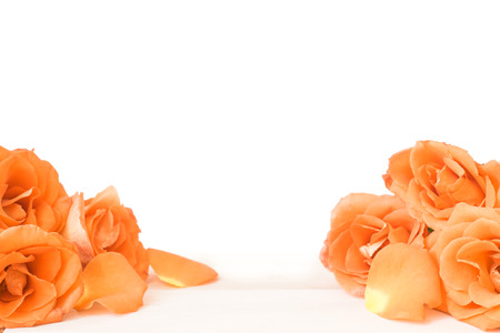 Orange rose flowers on wood floor with white backgroundの写真素材