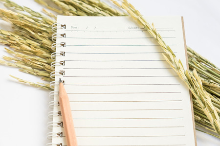 Open spiral notebook with brown pencil and dried paddy rice on white backgroundの写真素材
