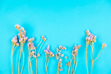 Cute dried violet statice flower on light blue backgroundの写真素材