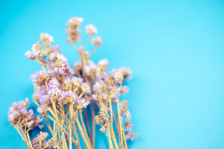 Selective focus on purple statice flower bouquet on blue background in vintage tone