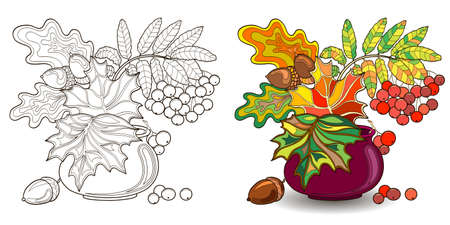 Set of two style pictures with autumn leaves, acorns and rowan branchのイラスト素材