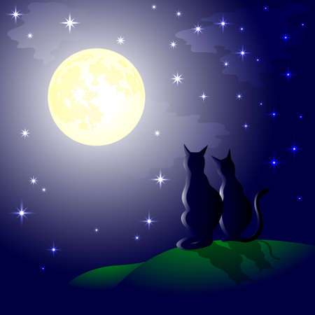 Silhouettes of two cats on the background of the full moon and the starry skyのイラスト素材