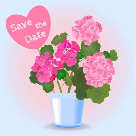 Flower pot with pink geranium and save the date sign on light backgroundのイラスト素材