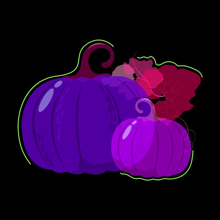 Two pumpkins in purple tones with leaves of different transparency isolated on a black background. Design element for abstract background, wallpaper, wrapping paper, fabric, textileのイラスト素材
