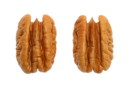 A walnut isolated in white