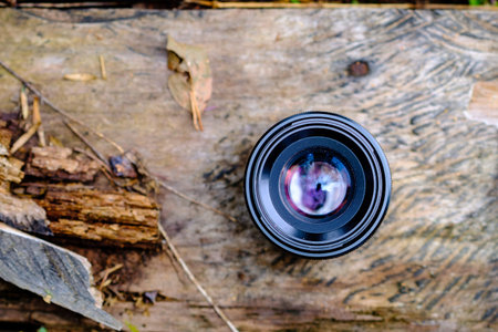 camera lens on a wooden plank, being bathed in light, blurred background, beautiful wooden texture and diagonal crack from where the plants comesの写真素材