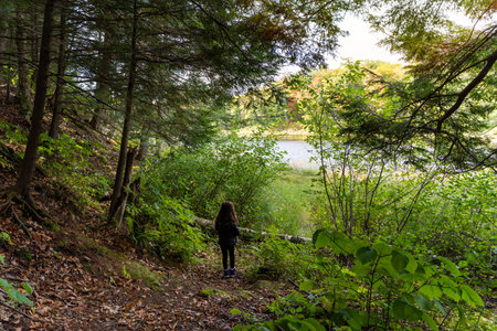 Girl finds log on her path while lost in the woods. Temperature is cold, a lake is nearby, and she is alone. Quebec, Canadaの写真素材