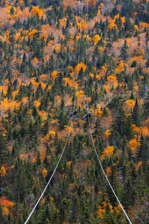 two people sliding down very long and fast zipline during autumn in Stowe, Vermontの写真素材