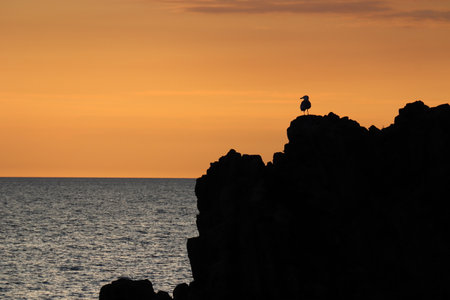 Sunset at the picturesque village of Corniglia, Cinque Terre, Italy.の写真素材