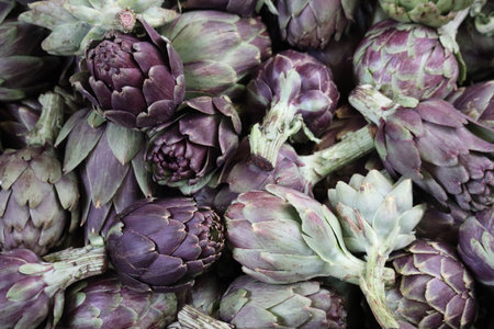 Close up of artichokes for sale in farmers market, supermarket or grocery store. Cynara cardunculus var. scolymus.の写真素材