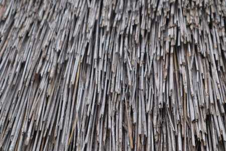 closeup of thatch roof backgroundの写真素材