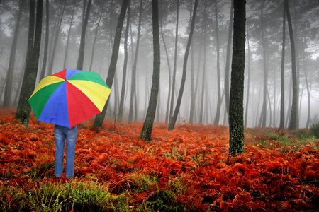 winter dayの写真素材