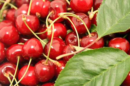 beautiful and tasty cherries, food photo