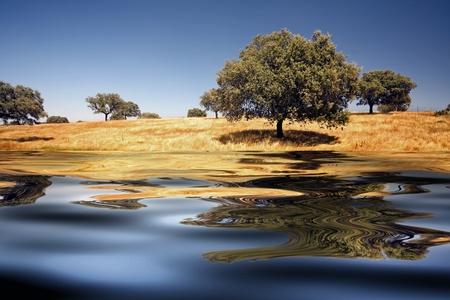 beautiful alentejo landscape with trees and ferrous waterの写真素材