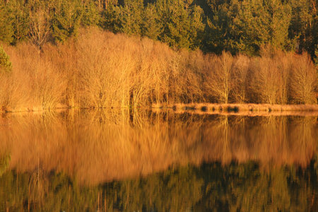 beautiful autumn landscape with river and reflex, Portugal