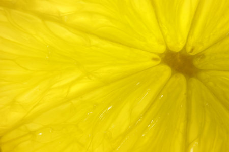 lemon slice, lime, photographed in close-up