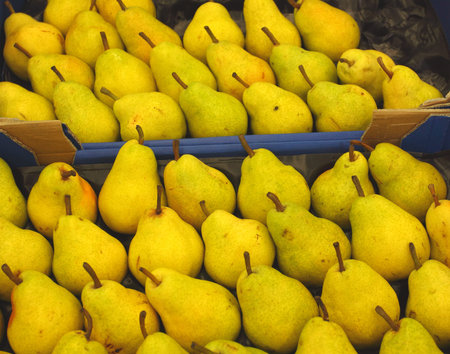 Pear display, Ã©talage de poiresの写真素材