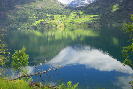 Wonderful fjord greens of norvege in spring