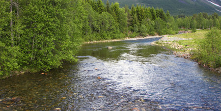 wild streams and waterfalls of Norway in summer
