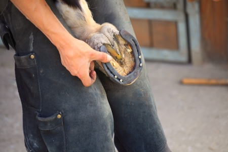 laying a horseshoeの写真素材