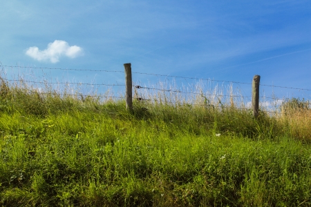 country landscape in springの写真素材