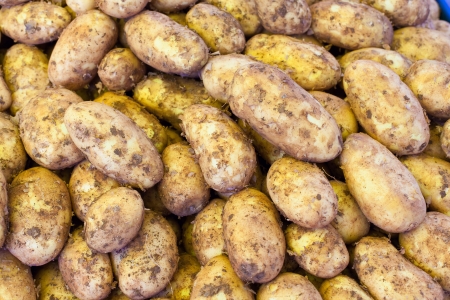 new potatoes on the marketの写真素材