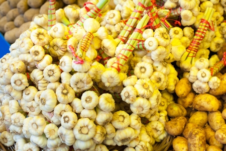 young garlic bunch on the marketの写真素材