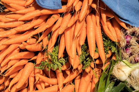 bunches of fresh carrots on a market stallの写真素材