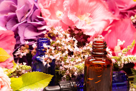 flowers and bottles of essential oils for aromatherapyの写真素材