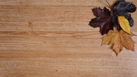 Autumn Fall Leaves on a Wooden Grain Flooring Background