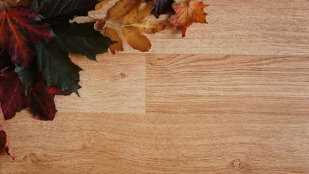 Autumn Fall Leaves on a Wooden Grain Flooring Backgroundの写真素材