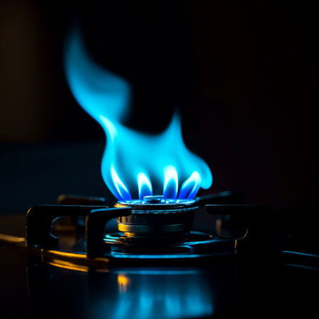 Gas burner with blue flames on black background. Selective focus.の素材