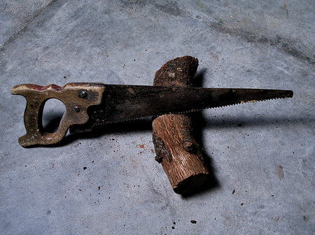 One rusty saw cutting a log of wood