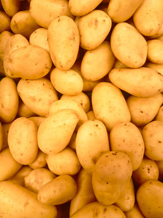 several potatoes creating a yellow and brown and textured backgroundの写真素材