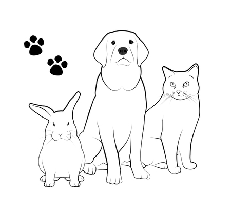 Line drawings of dog, cat, and rabbit.の写真素材