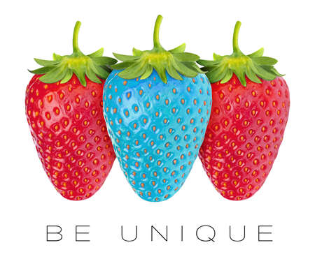 Blue strawberry between two red strawberries with "BE UNIQUE" text.の写真素材