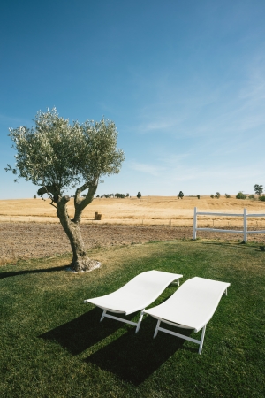 A relaxing country scene in Alentejo, Portugalの写真素材