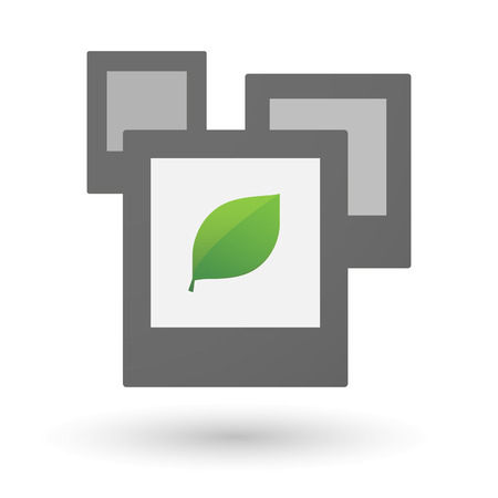 Illustration of an isolated group of photos with a leafのイラスト素材