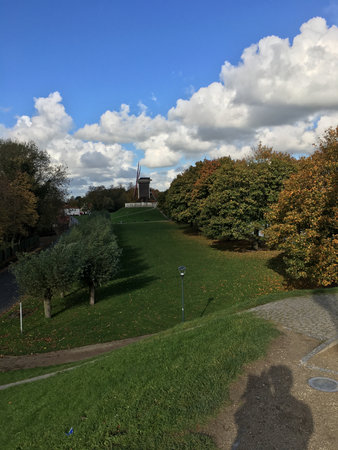 Tree-lined pathway in a peaceful park with sunlight filtering through the leaves, creating a tranquil and scenic atmosphere perfect for nature walks.の写真素材