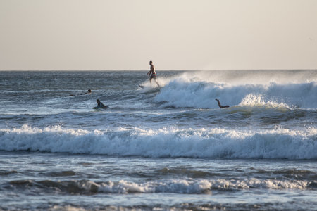Tamarindo, Costa Rica - People surfing off the beach - travel to central americaの写真素材