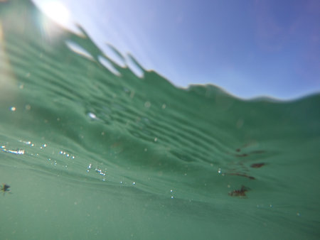 Bubbles under the sea in the crystal clear green sea water. Real image very suitable for backgrounds, Rising Bubbles in Deep Underwater, Under with bubble. Great for background.の写真素材