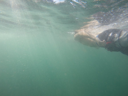 Freediver, Girl and boy, diving in tamarindo, costa rica, travel to south americaの写真素材