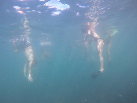 Freediver, Girl and boy, diving in tamarindo, costa ricaの写真素材