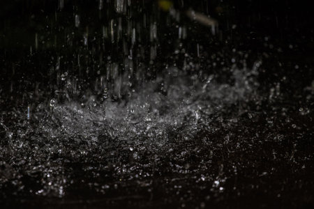 macro shot of rain drops at evening, chiloe, south of chileの写真素材