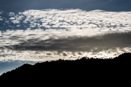 beautiful landscape nature of rain forest and mountain background. abundance evergreen forest and foggy in spring. nice place for outdoor travel on vacation or holidays.の写真素材