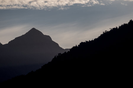 beautiful landscape nature of rain forest and mountain background. abundance evergreen forest and foggy in spring. nice place for outdoor travel on vacation or holidays.の写真素材