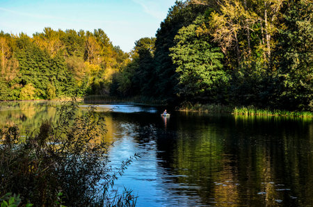 boat on the pond in good clear weather