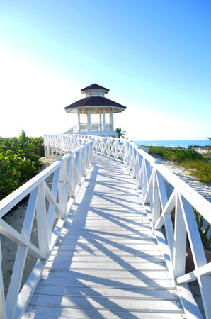 Beach weeding loveの写真素材
